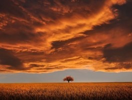 天府广场到九龙怎么走，成都天府广场到九龙有多远