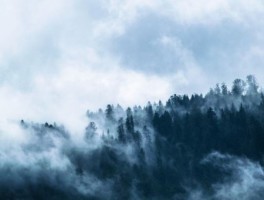 杭州同济医院怎么走，有人去过杭州同济医院