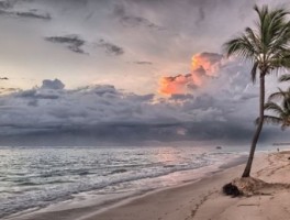 493公交车路线，493路公交路线时间表