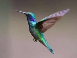 青海沙漠美食攻略旅游线路(去青海旅游要注意些什么)