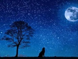 福州去长乐怎么走，福州去长乐市区怎么坐车