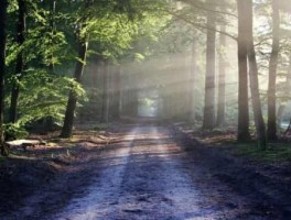 周至美食攻略旅游线路图(周至地图攻略旅游景点介绍图片)