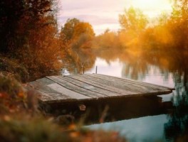 关于旅游与美食的公众号(关于美食和旅游的公众号名字)