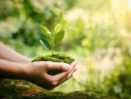 旅游西安美食(西安十大美食名吃有哪些)