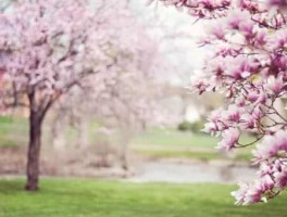 西安旅游美食人文指南(西安旅游美食全攻略)