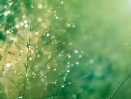 日本邮轮旅游，日本邮轮旅游需要签证吗