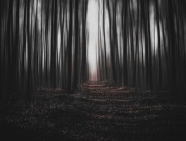 温州到绍兴旅游景点攻略一日游，绍兴游玩景点