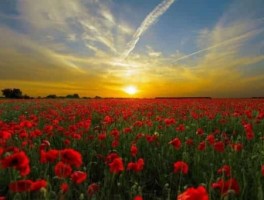 滚蛋谷怎么走，滚蛋谷怎么去