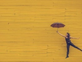 世园会怎么走，世园会攻略路线图