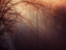 相城花木市场怎么走，苏州相城花卉市场搬迁到什么地方了