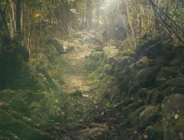 山王坪路线，山王坪在修路吗
