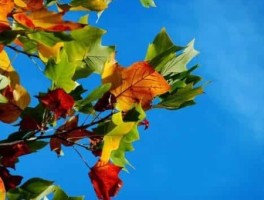 梅州马拉松路线，梅州马拉松赛道