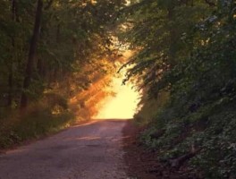 神农架路线图，神农架路线规划