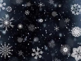 上海旅游必去景点，上海旅游必去景点推荐两日游