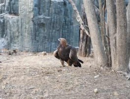 郑州9月份免费旅游景点推荐表，郑州九月免费景点