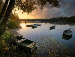 西安230路公交车路线，西安230路公交车路线最新