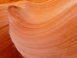 天津旅游美食心得(必吃的美食有哪些)