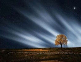 宣化假日绿岛怎么走，去宣化假日绿岛旅游怎么乘公交车