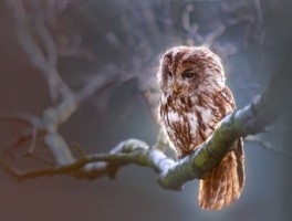 运通101公交车路线，运通103路公交路线