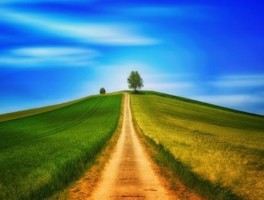 自定路线导航，自定路线导航怎么用