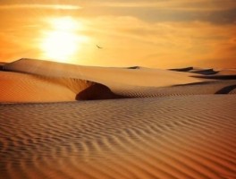 西安旅游公司，西安旅游公司电话