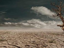 西安旅游攻略3天美食(3天攻略美食推荐)