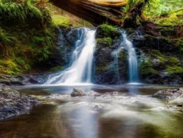 英语介绍西安的美食和旅游景点五句话(西安美食英文介绍带翻译)