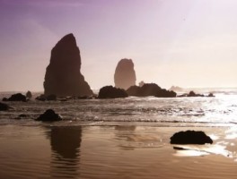 日月光美食广场旅游攻略(重庆美食攻略2019)