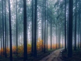 广州婚车路线，广州婚车必走路线