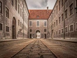 库尔勒旅游，库尔勒旅游公司