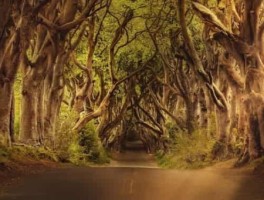 山南美食攻略旅游线路图(重庆到华蓥山旅游攻略华蓥山旅游线路)