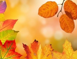 周末旅游景点推荐河南郑州，郑州市十大旅游景点