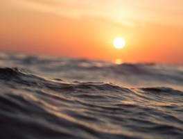 虹桥机场到浦东机场怎么走，上海虹桥机场到浦东机场怎么走