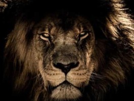 乡村旅游，乡村旅游的意义