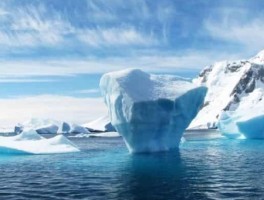 旧金山最新旅游资讯(旧金山多少人口)