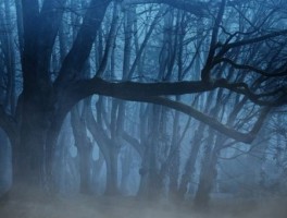 旅游到了成都吃什么美食(去成都吃什么美食)