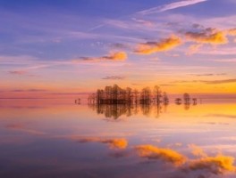 137路公交车路线时间表，台州137路公交车路线时间表