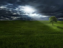 宜兴五一旅游资讯报道最新(宜兴当地新闻)