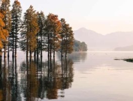 2020最新日本旅游图片资讯(日本旅游景点图片)