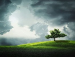 从化公交3号车路线，从化三号车路线