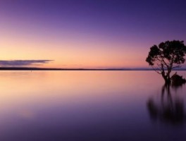 芬兰旅游局最新资讯(芬兰旅游骗局)