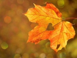 河北邯郸旅游景点大全美食(邯郸美食排行榜前十名)