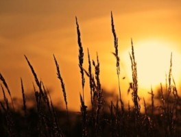 旅游护照，旅游护照可以停留多久