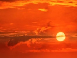 路线图模版，路线图模板