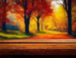 沈阳到小长山岛怎么走，沈阳到大长山岛旅游攻略