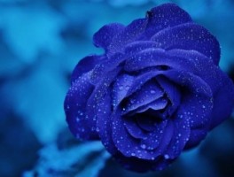 艾丁湖玛瑙滩怎么走，艾丁湖门票多少钱