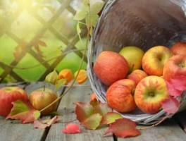 旅游广东，旅游广东话怎么说