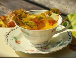 西安旅游美食种类有哪些特点(西安十大美食名吃有哪些)