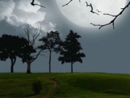 碧桂园怎么走，碧桂园怎么走地铁线路