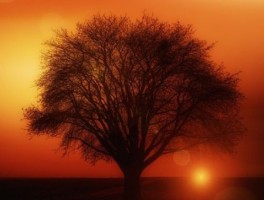 绍兴旅游景点攻略最新免费，绍兴旅游必去十大景点推荐